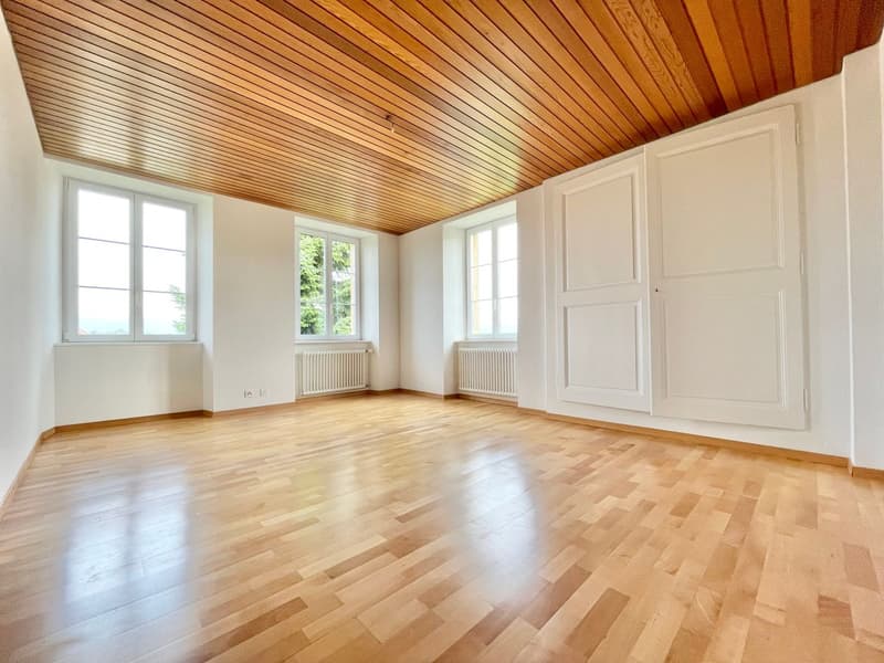 Spacious individual house with character (7)