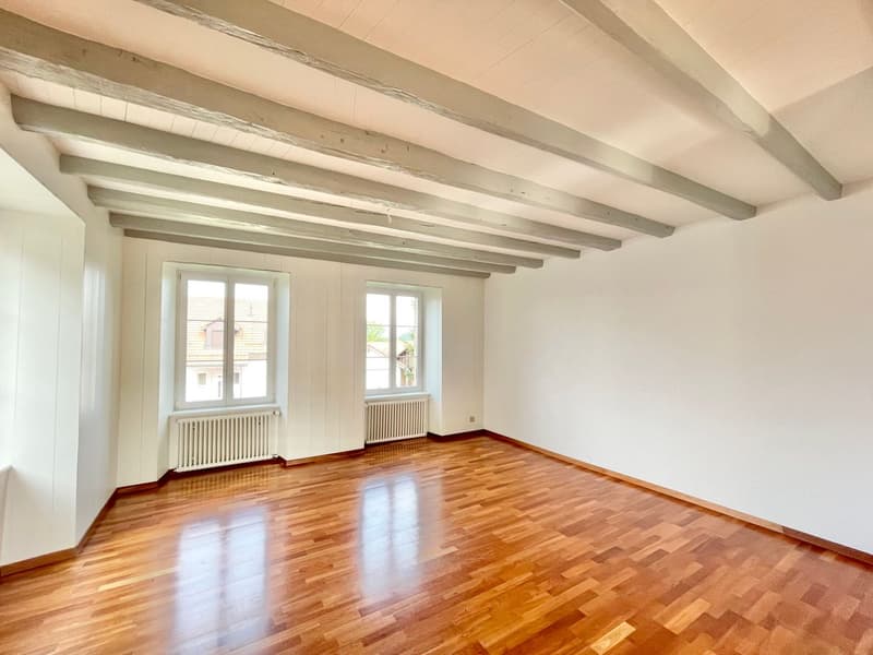 Spacious individual house with character (6)