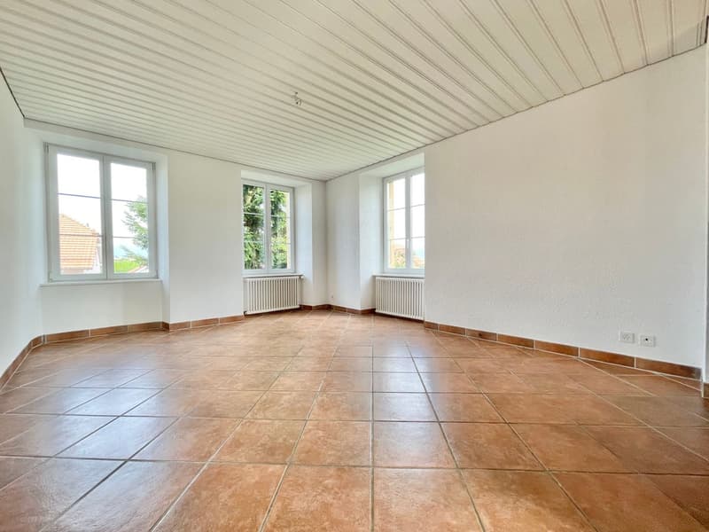 Spacious individual house with character (4)