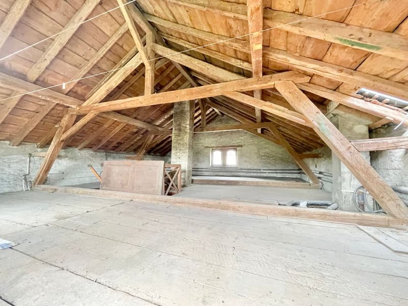 Spacious individual house with character (11)