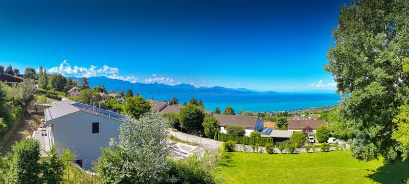 Magnificent property with development potential (2)