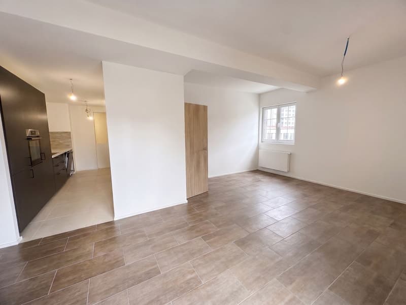 Duplex entirely renovated for sale in Gimel (2)