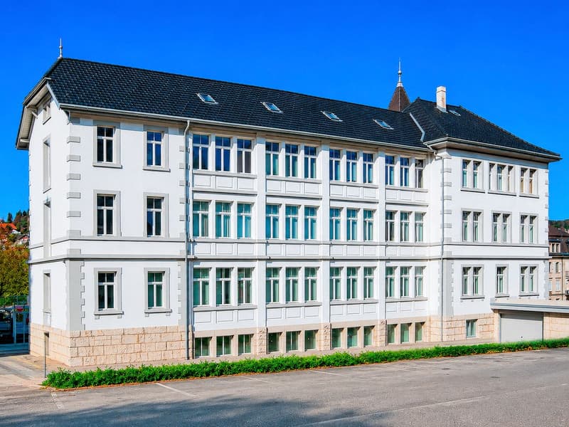 Revenue-generating building, part of the UNESCO World Heritage (expansion potential and gross 5.77%) (3)