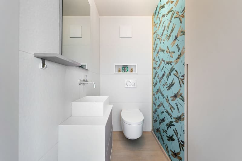Sumptuous attic with 180-degree panoramic view of the lake and the Alps (7)