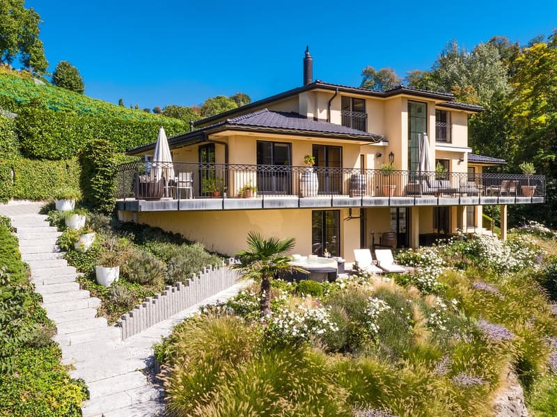 Exceptional villa with breathtaking view, between lake and nature (3)
