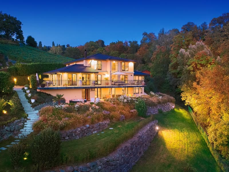 Exceptional villa with breathtaking view, between lake and nature (1)
