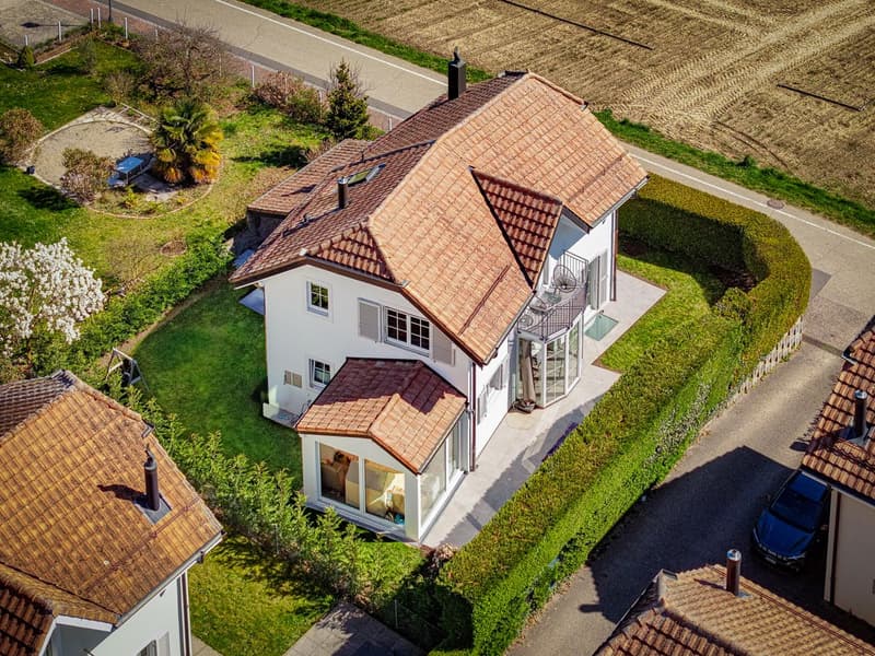 Magnificent individual villa (4)