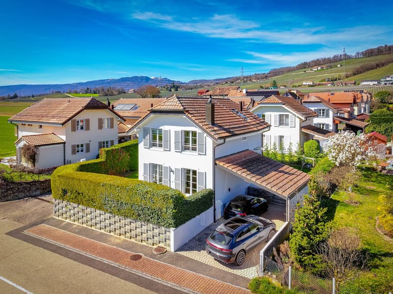 Magnificent individual villa (5)