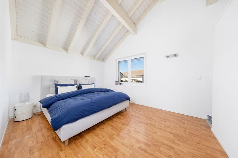 Magnificent individual villa (13)
