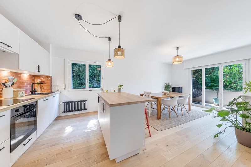 5.5 room apartment completely renovated in a quiet neighborhood (2)