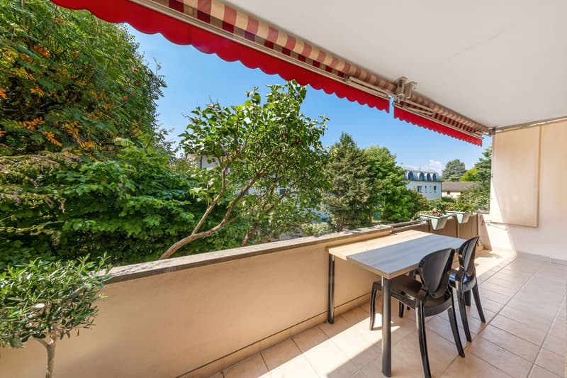 Appartement de 5.5 pièces entièrement rénové dans un quartier calme. (1)