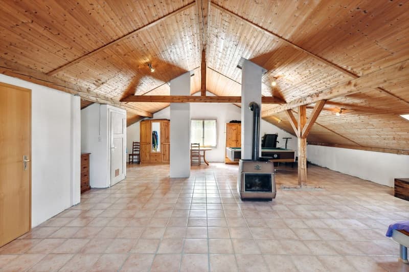 Villa individuelle avec grand studio indépendant et possibilités multiples sur grande parcelle (10)