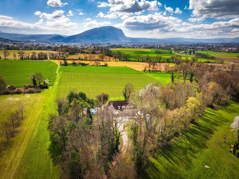 Maison de Luxe Familiale à Presinge (13)