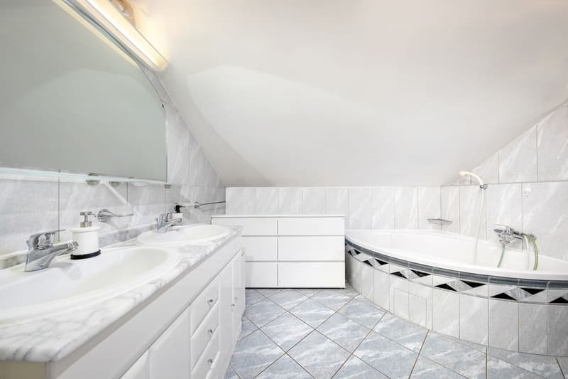Magnificent individual house with a view of the Dents du Midi in Bex (13)