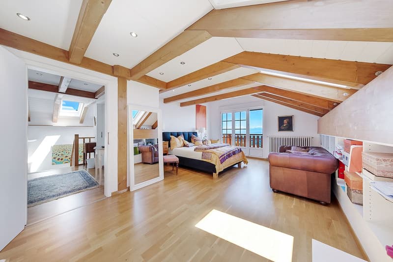 Charming house with breathtaking views of the lake and Mt-Blanc! (12)