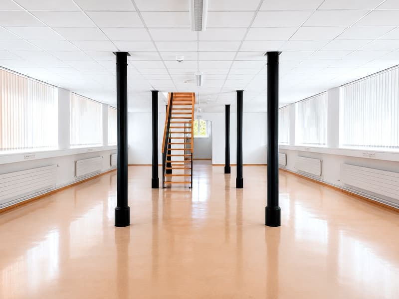 Bâtiment de rendement partie de l'UNESCO (potentiel d'extention et rendement brut 5.77%) (5)