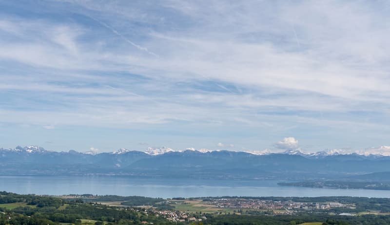 Charmante maison avec vue époustouflante sur le lac et le Mt-Blanc! (1)