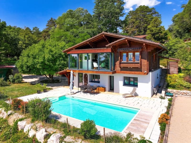 Très belle villa avec vue panoramique sur le lac & le Mt-Blanc! (2)
