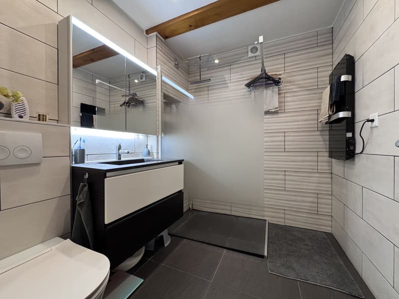 Yverdon - Attique en duplex de 5,5 pièces avec grande terrasse et véranda d'hiver (6)
