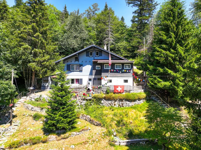 Joli Chalet à potentiel! (1)