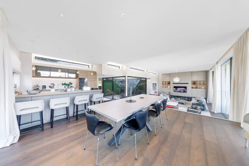 Villa contemporaine d'exception - Accès privé au lac (5)