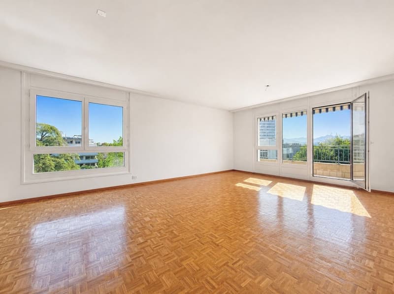 Appartement spacieux de 4 chambres à Petit Sacconex (7)