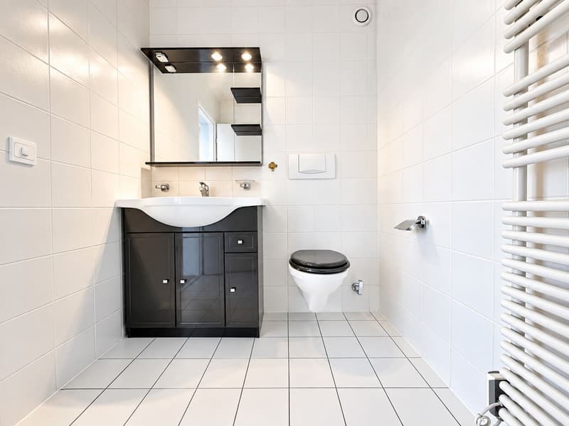 Appartement spacieux de 4 chambres à Petit Sacconex (13)