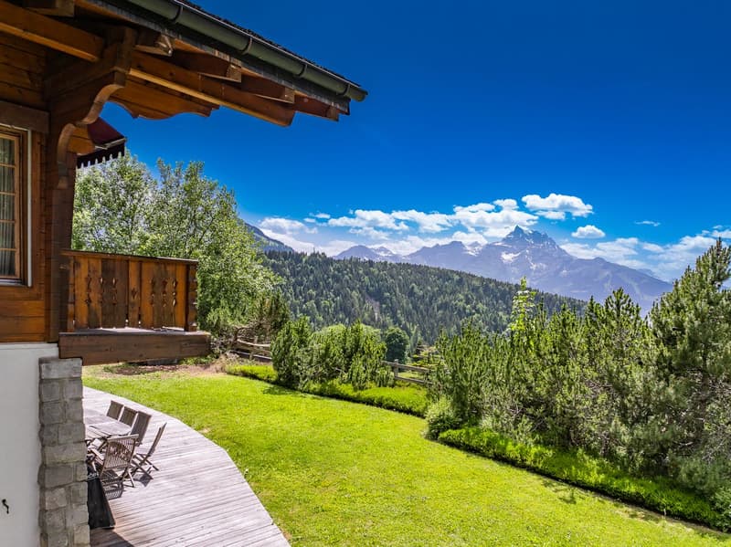 Exceptionnel chalet familial (8)