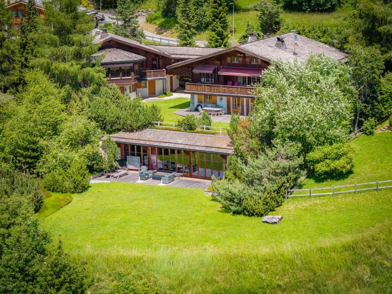 Exceptionnel chalet familial (3)