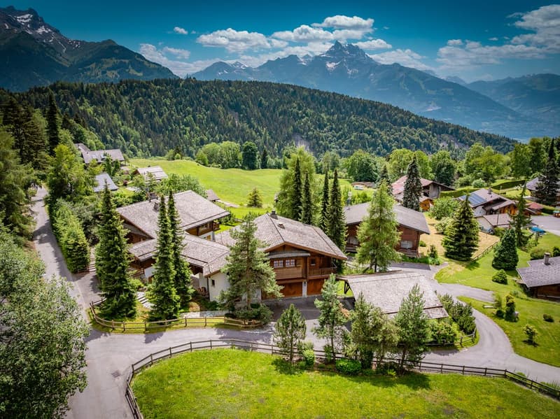 Exceptionnel chalet familial (4)