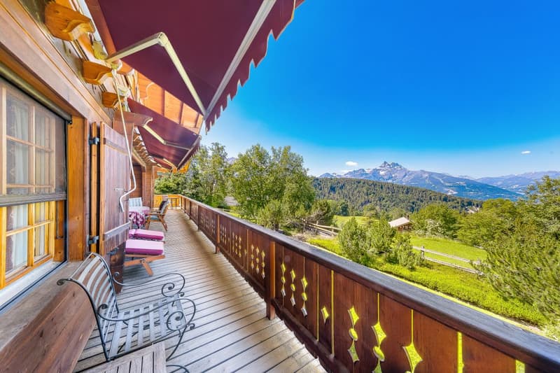 Exceptionnel chalet familial (7)