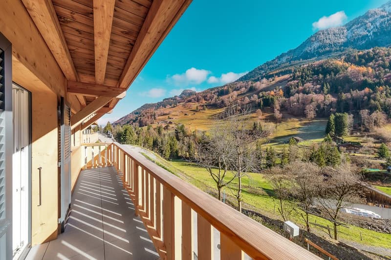Chalet neuf d'exception dans un environnement calme et paisible (11)