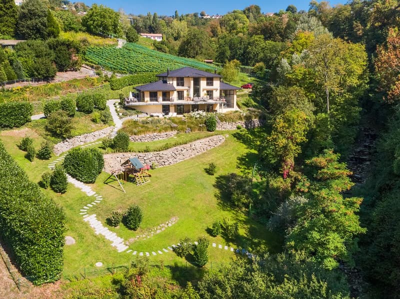 Villa d'exception avec vue imprenable, entre lac et nature (2)
