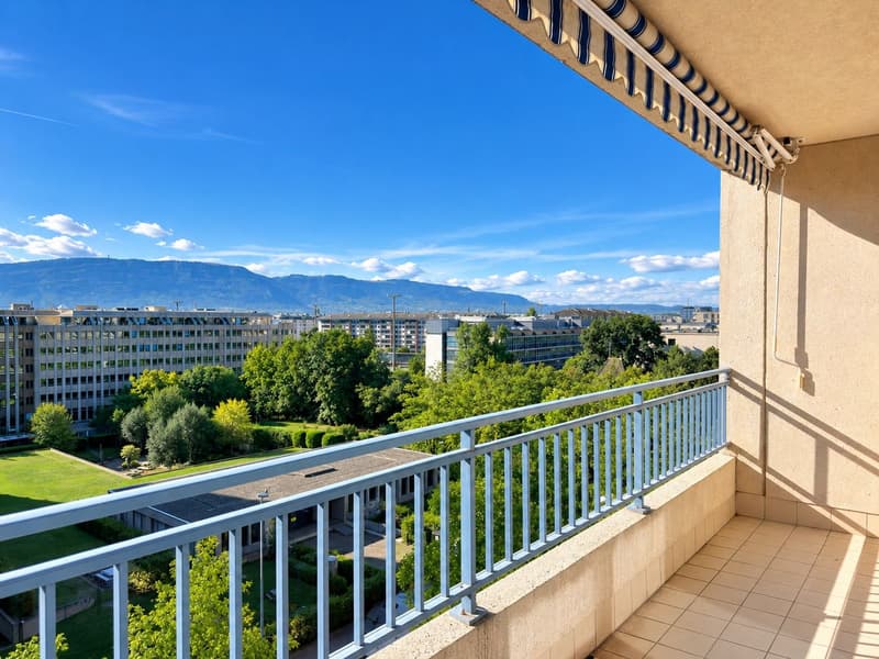 Appartement spacieux de 4 chambres à Petit Sacconex (3)