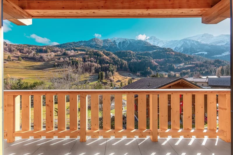 Chalet neuf clé en main - disponible de suite ! (2)