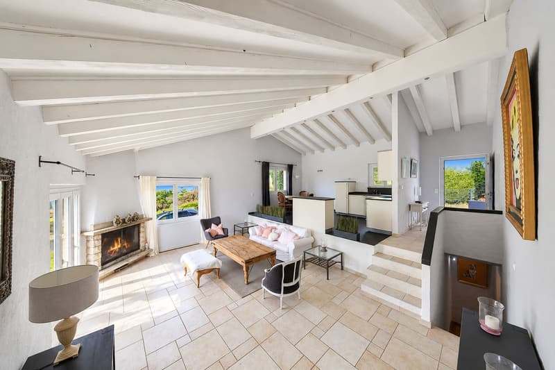 Superbe villa avec panorama sur le Léman, les Alpes et le Mont-Blanc (6)