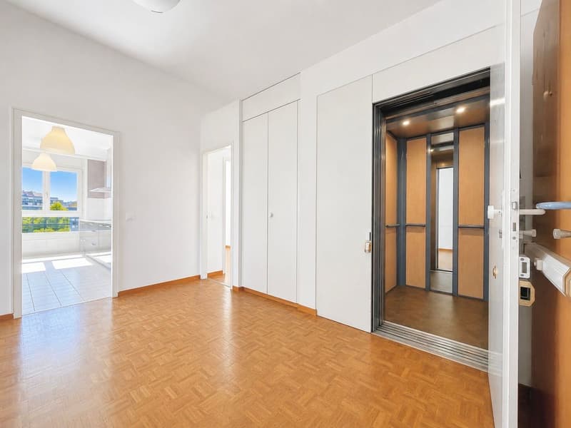 Appartement spacieux de 4 chambres à Petit Sacconex (4)