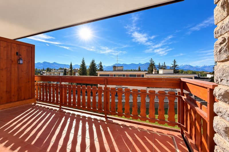 Magnifique appartement rénové, baigné de lumière avec balcon offrant une vue sur les montagnes (9)