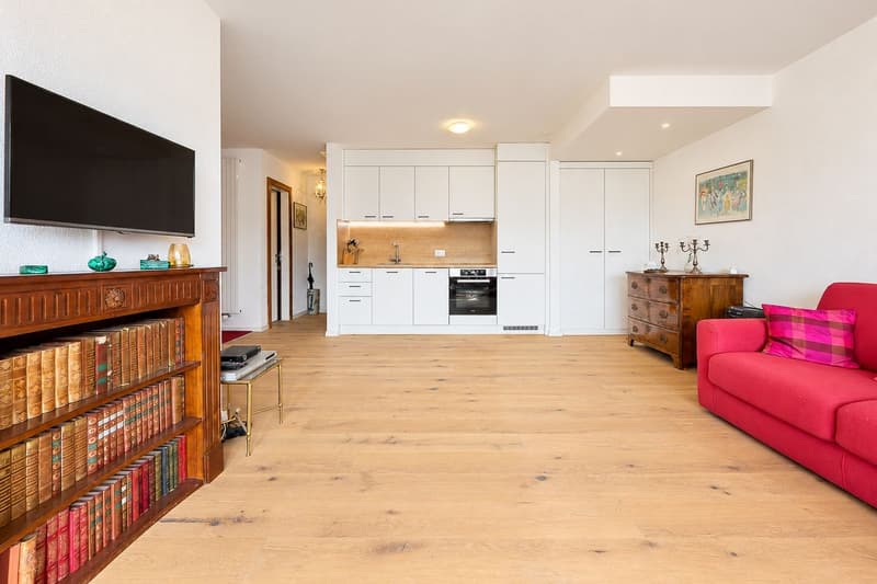 Magnifique appartement rénové, baigné de lumière avec balcon offrant une vue sur les montagnes (5)