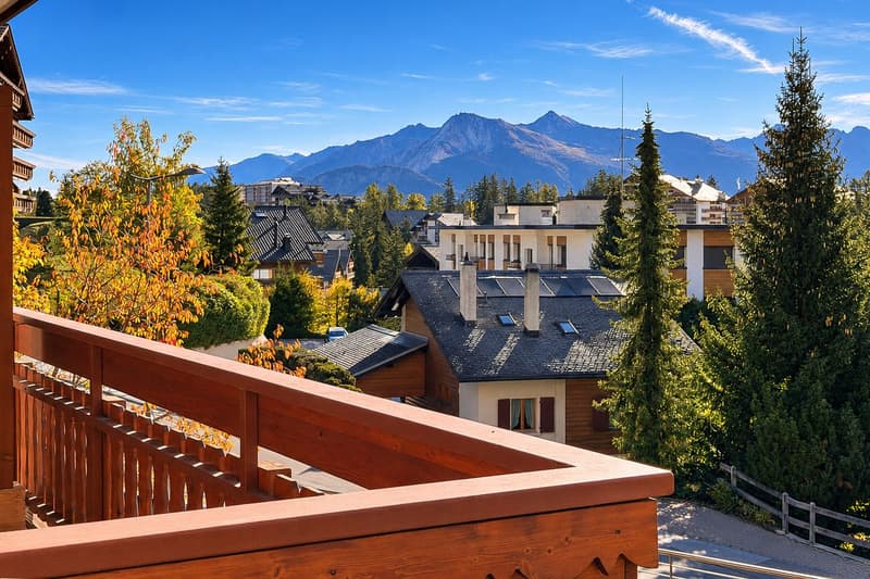 Magnifique appartement rénové, baigné de lumière avec balcon offrant une vue sur les montagnes (1)
