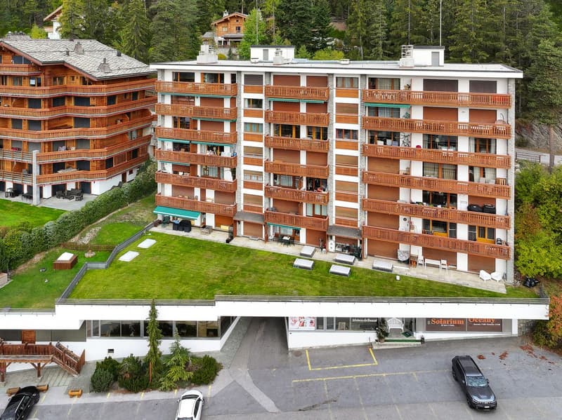 Magnifique appartement rénové, baigné de lumière avec balcon offrant une vue sur les montagnes (11)