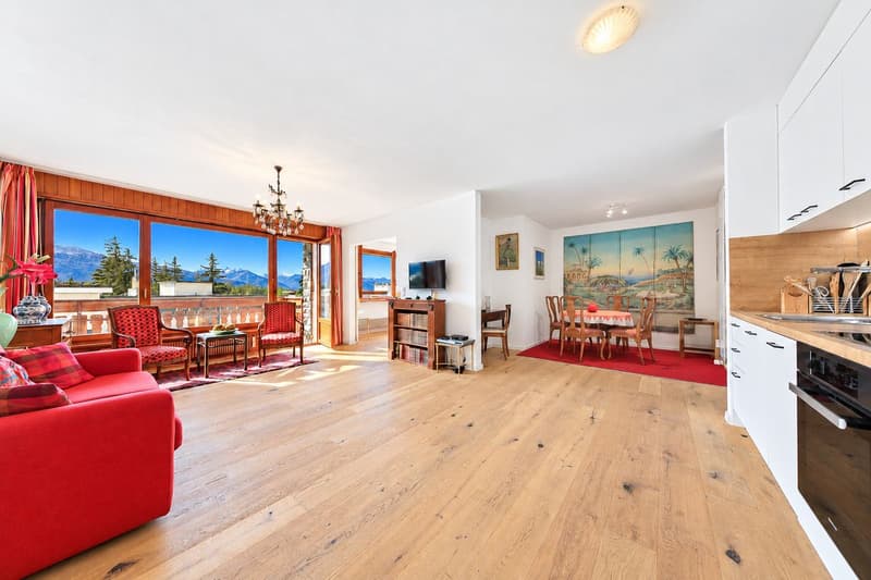 Magnifique appartement rénové, baigné de lumière avec balcon offrant une vue sur les montagnes (2)