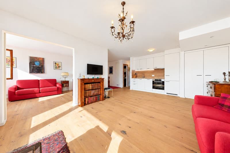 Magnifique appartement rénové, baigné de lumière avec balcon offrant une vue sur les montagnes (3)