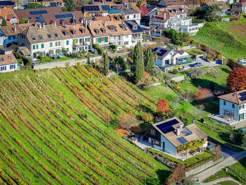 Rare : Un bijou de maison de village rénovée face au lac (1)