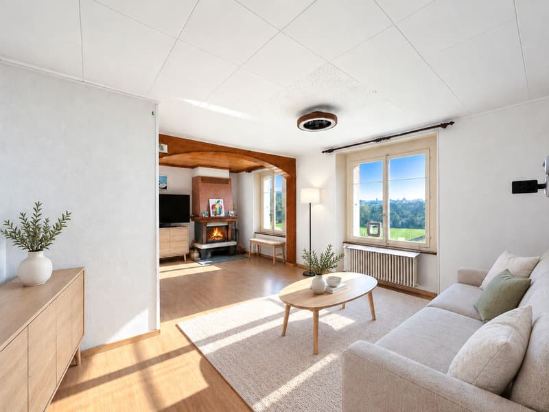 En exclusivité! Charmante maison vaudoise! (5)