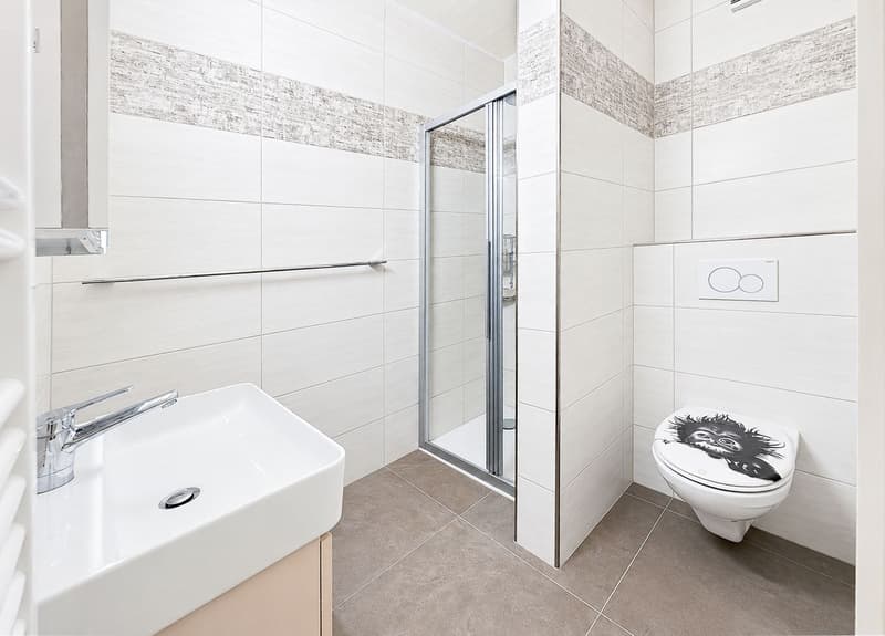 Joli duplex rénové! (12)