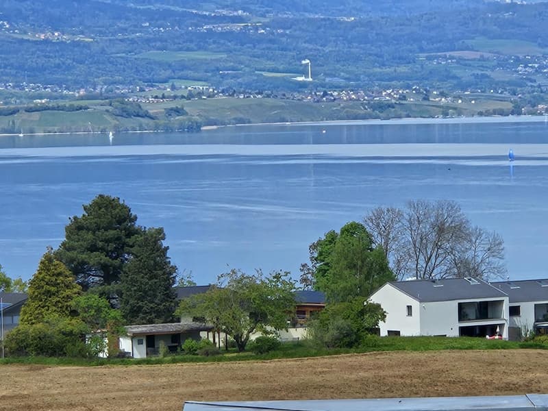 Offrez vous cette magnifique villa avec vue sur le lac de Neuchâtel ! (1)