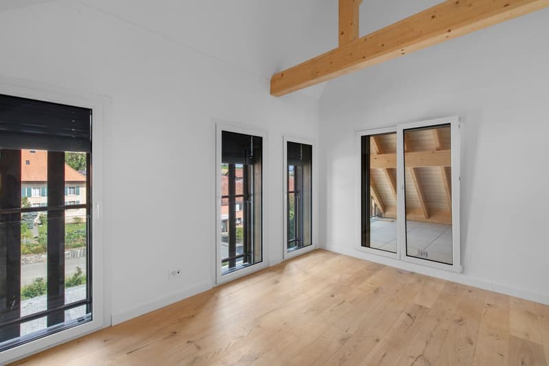 Élégance d'antan et confort moderne pour ce 4,5 pièces dans un bâtiment classé (9)