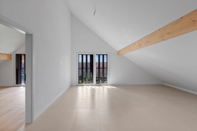 Élégance d'antan et confort moderne pour ce 4,5 pièces dans un bâtiment classé (5)