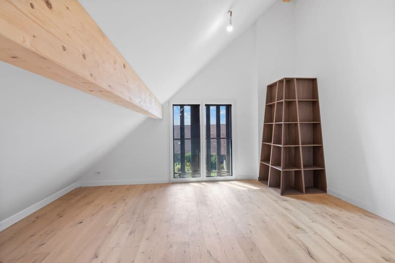 Élégance d'antan et confort moderne pour ce 4,5 pièces dans un bâtiment classé (6)